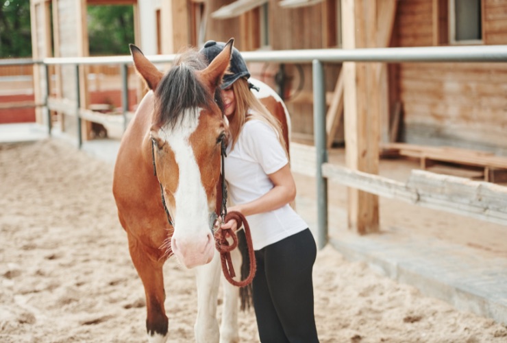 addestramento cavallo