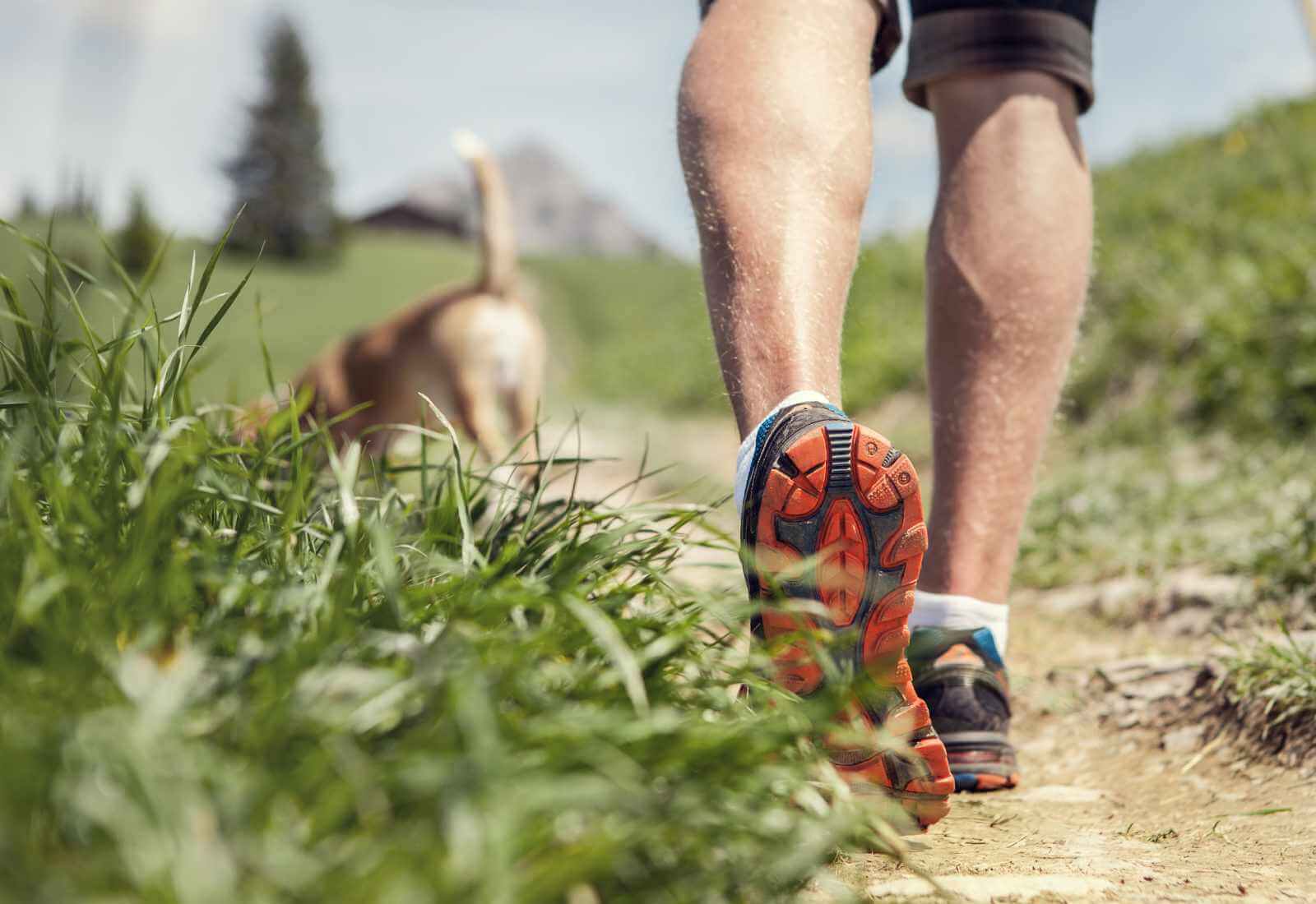 Angelo Vaira intraprende un viaggio da Assisi a Roma per sensibilizzare sul tema degli animali.
