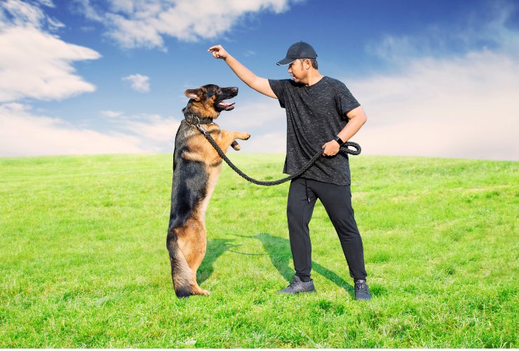 cane istruttore cinofilo