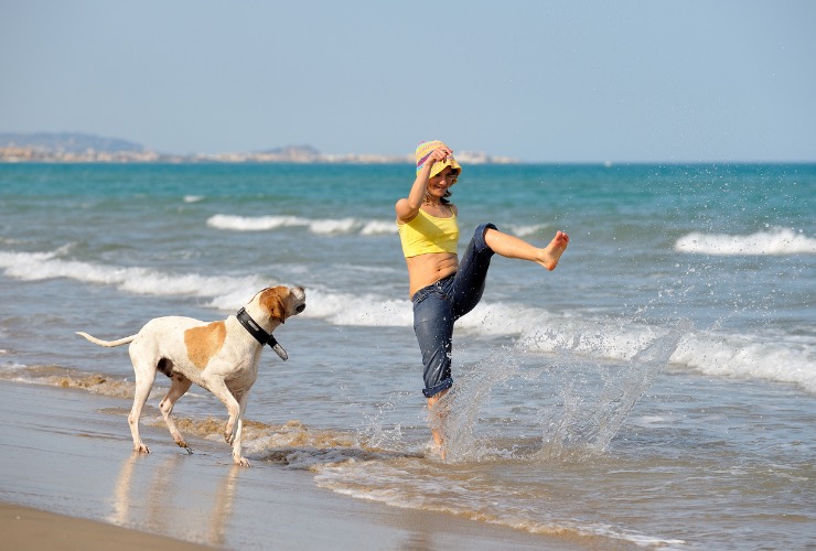 cane in spiaggia