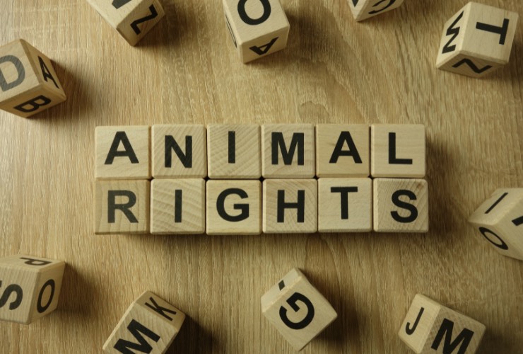 diritti animali cani gabbia