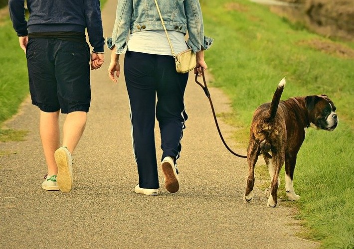 immunità passiva artificiale rabbia tetano