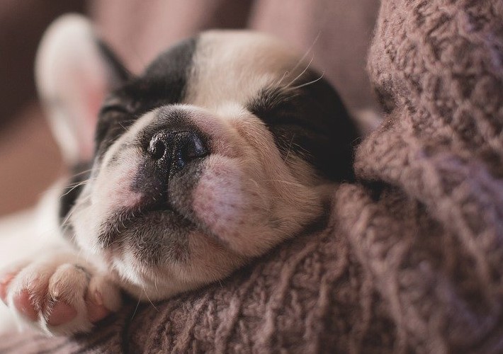 immunità passiva naturale vaccinazioni