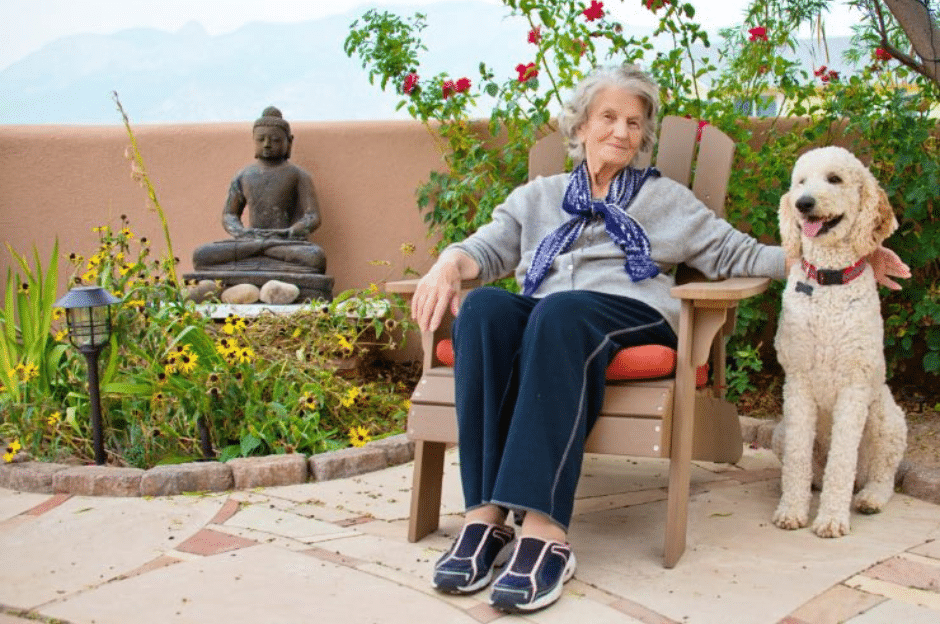 larepubblicadeglianimali-anziana-cane