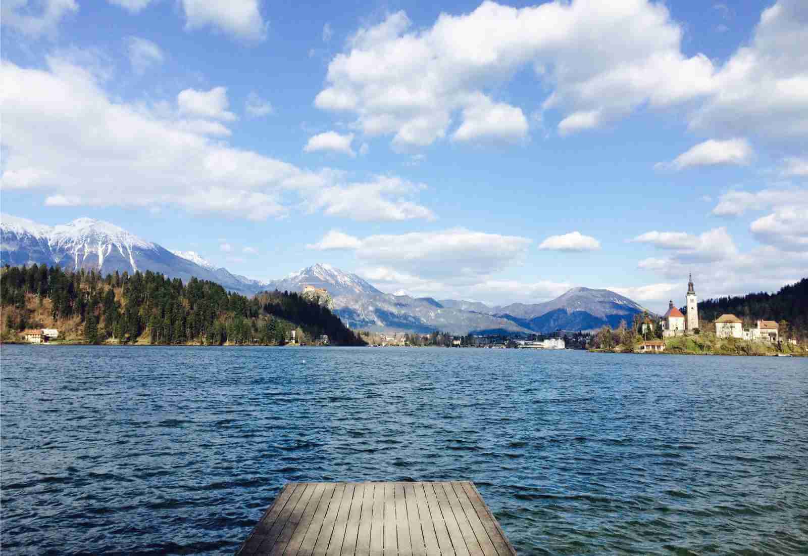 Viaggio in Slovenia, un paese pet-friendly, ideale per chi viaggia con cani di taglia grande