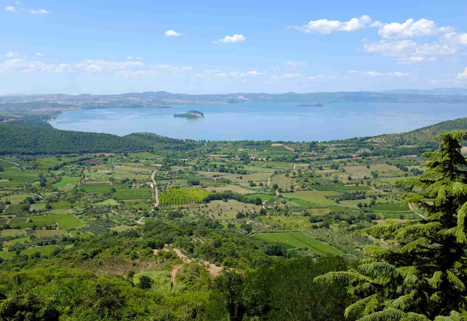 Vacanze con Fido tra Tuscia e Umbria: località accoglienti per animali domestici.