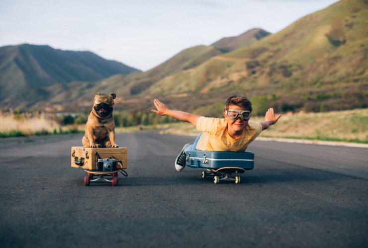 viaggiare con gli animali